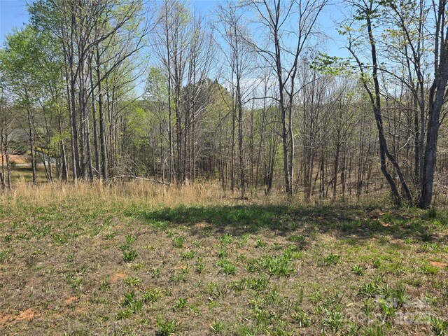 0 Hickory Loop Unit 44, Rutherfordton, NC 28139 - photo 20