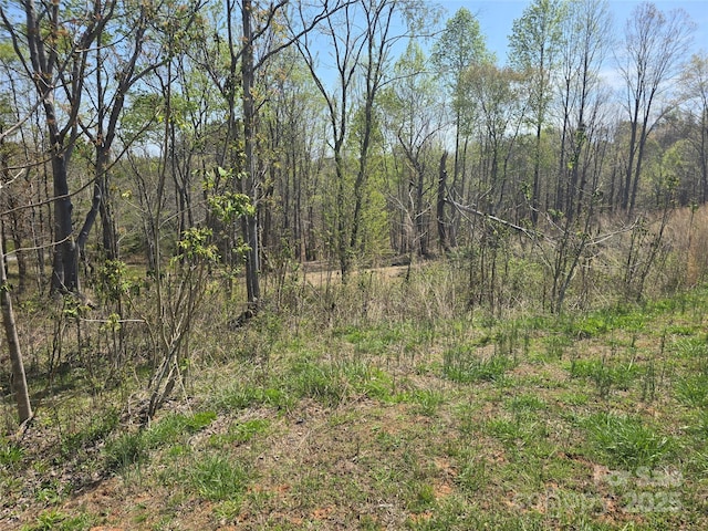0 Hickory Loop Unit 44, Rutherfordton, NC 28139 - photo 23