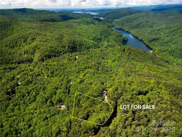 LOT14 Arrowhead Ridge Rd Unit 14, Brevard, NC 28712