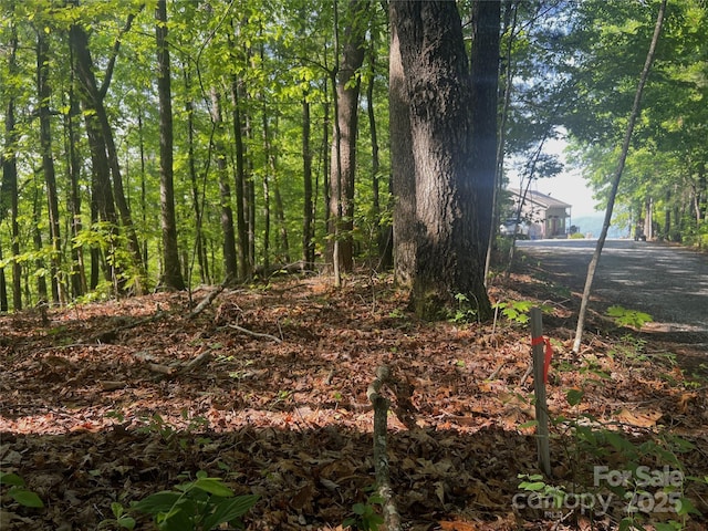 LOT14 Arrowhead Ridge Rd Unit 14, Brevard, NC 28712