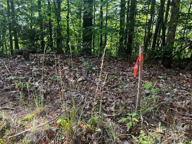 LOT14 Arrowhead Ridge Rd Unit 14, Brevard, NC 28712
