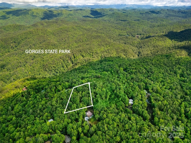 LOT14 Arrowhead Ridge Rd Unit 14, Brevard, NC 28712