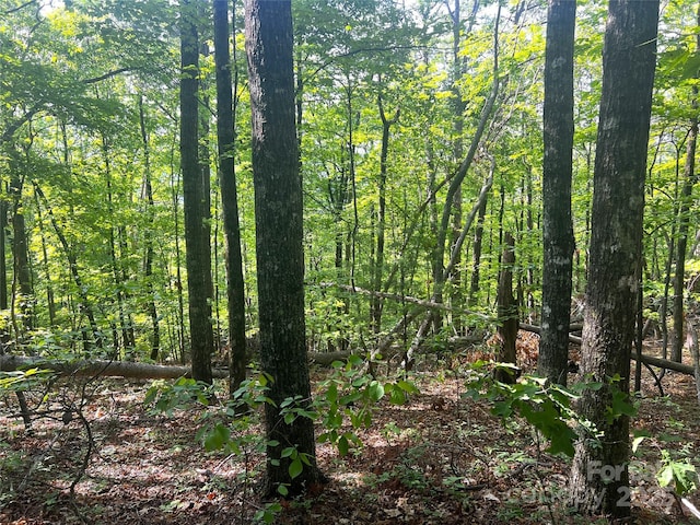 LOT14 Arrowhead Ridge Rd Unit 14, Brevard, NC 28712