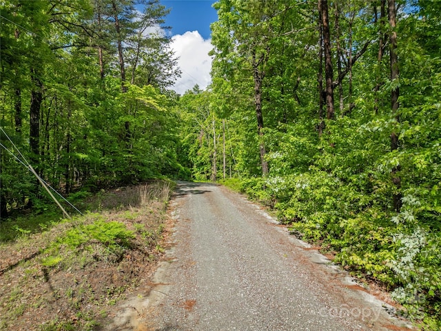 LOT14 Arrowhead Ridge Rd Unit 14, Brevard, NC 28712