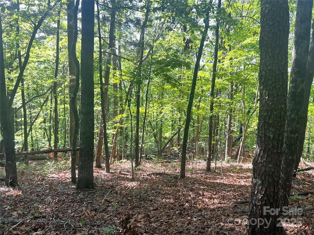 LOT14 Arrowhead Ridge Rd Unit 14, Brevard, NC 28712