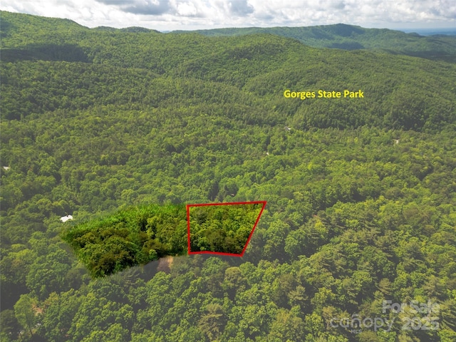 LOT14 Arrowhead Ridge Rd Unit 14, Brevard, NC 28712