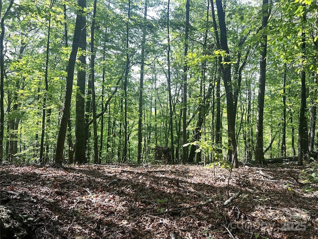 LOT14 Arrowhead Ridge Rd Unit 14, Brevard, NC 28712