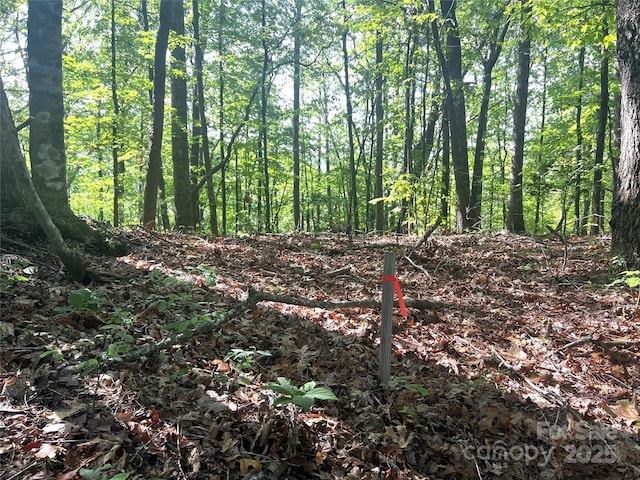 LOT14 Arrowhead Ridge Rd Unit 14, Brevard, NC 28712