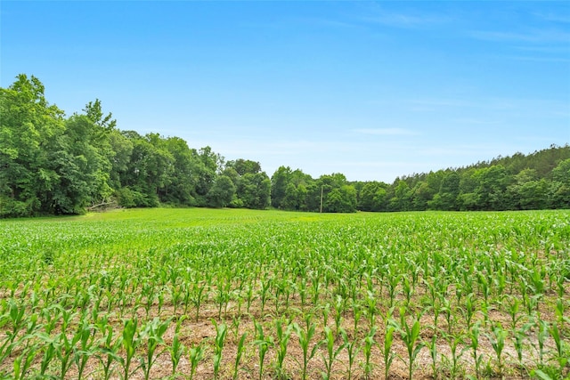 0000 Lucy Short Cut Rd Unit 1, Marshville, NC 28103