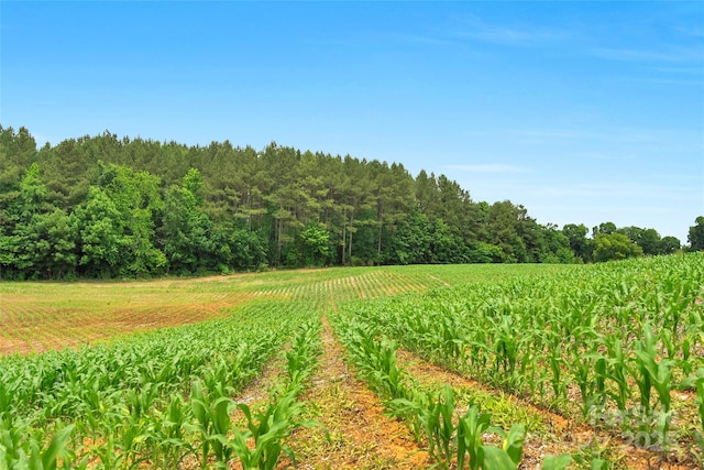 0000 Lucy Short Cut Rd Unit 1, Marshville, NC 28103
