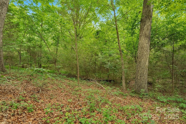 0000 Lucy Short Cut Rd Unit 1, Marshville, NC 28103