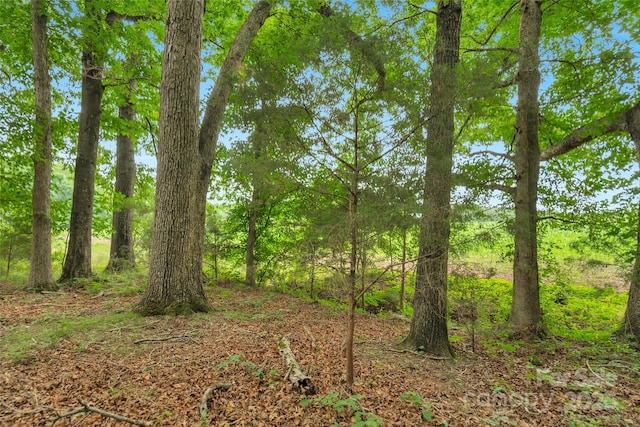 0000 Lucy Short Cut Rd Unit 1, Marshville, NC 28103