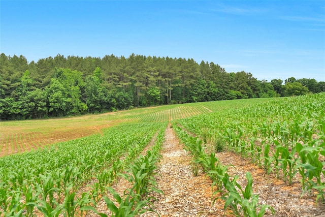 0000 Lucy Short Cut Rd Unit 1, Marshville, NC 28103