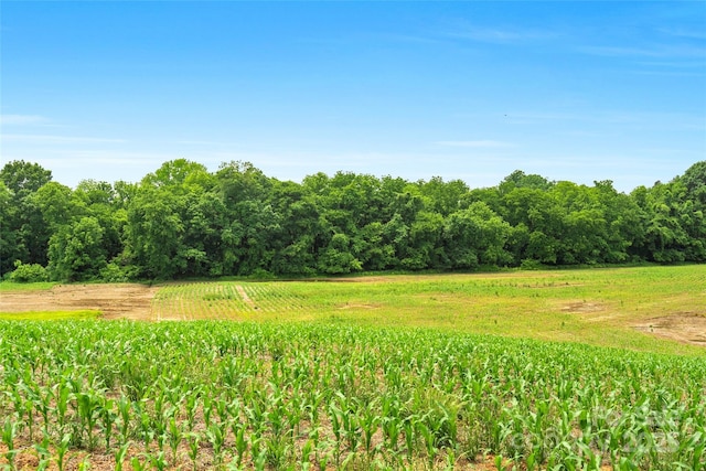 0000 Lucy Short Cut Rd Unit 1, Marshville, NC 28103
