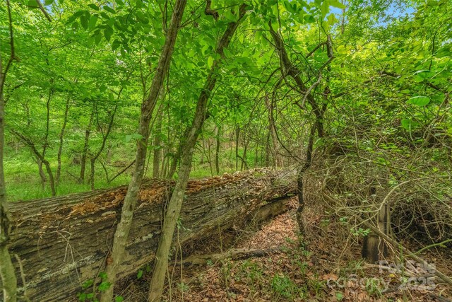 0000 Lucy Short Cut Rd Unit 1, Marshville, NC 28103