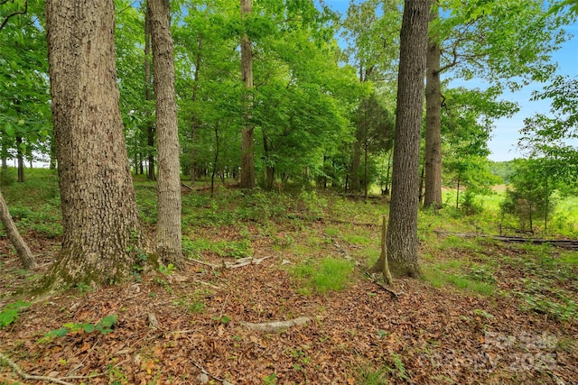 0000 Lucy Short Cut Rd Unit 1, Marshville, NC 28103