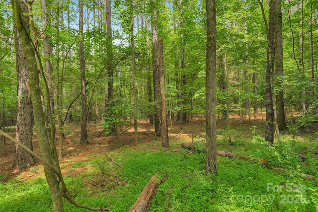 0000 Lucy Short Cut Rd Unit 1, Marshville, NC 28103