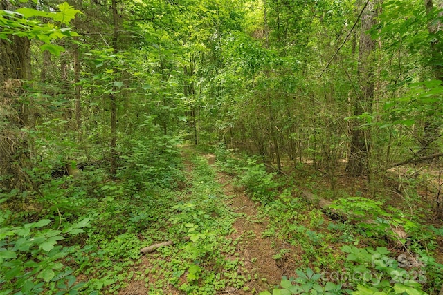 0000 Lucy Short Cut Rd Unit 1, Marshville, NC 28103