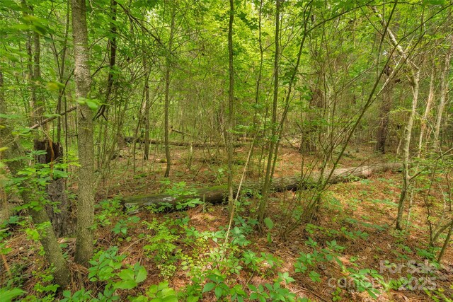 0000 Lucy Short Cut Rd Unit 1, Marshville, NC 28103