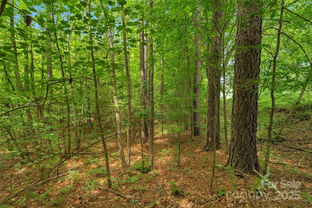 0000 Lucy Short Cut Rd Unit 1, Marshville, NC 28103