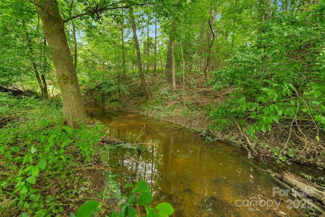0000 Lucy Short Cut Rd Unit 4, Marshville, NC 28103