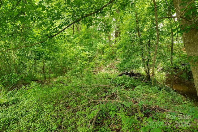 0000 Lucy Short Cut Rd Unit 4, Marshville, NC 28103