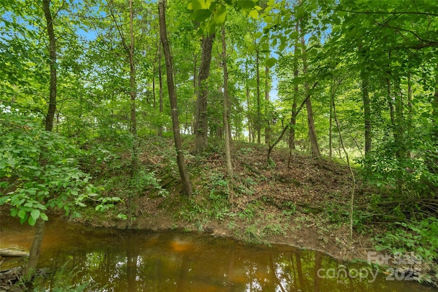 0000 Lucy Short Cut Rd Unit 4, Marshville, NC 28103