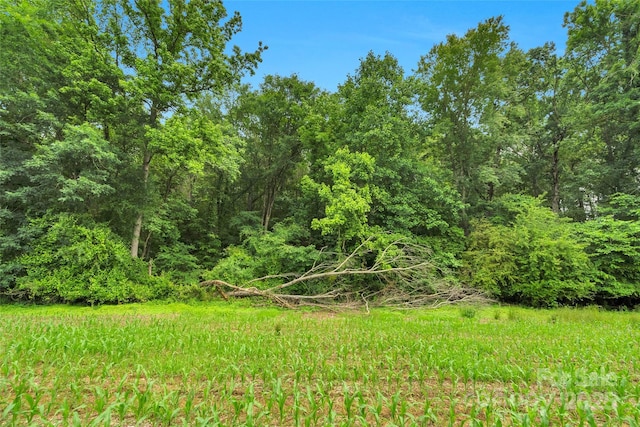 0000 Lucy Short Cut Rd Unit 4, Marshville, NC 28103