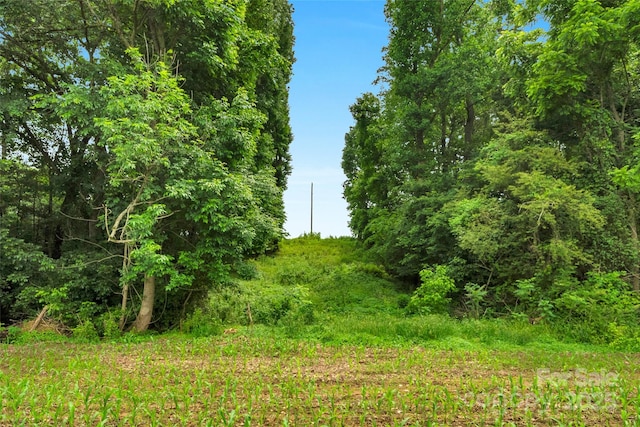 0000 Lucy Short Cut Rd Unit 4, Marshville, NC 28103