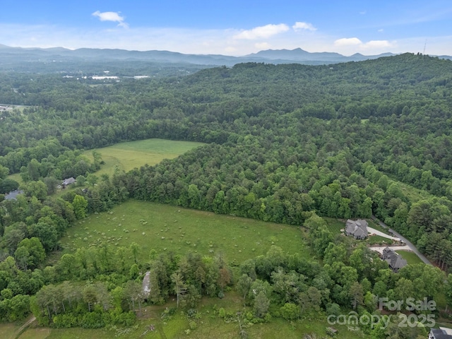 000 Red Fox Ln Unit 18, Flat Rock, NC 28731