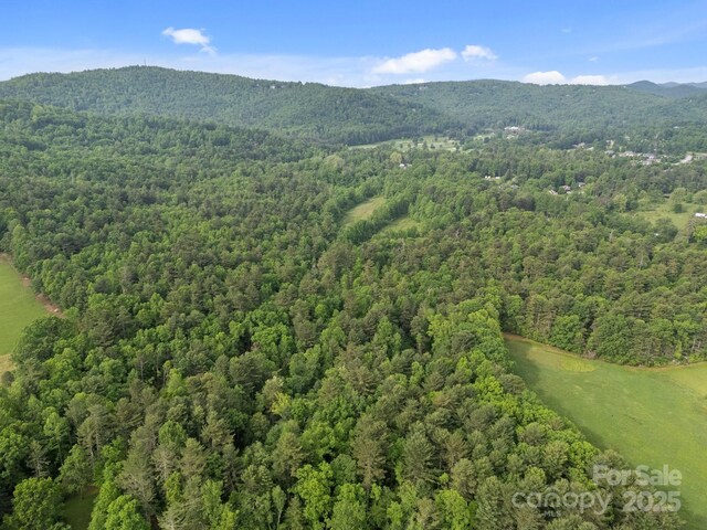 000 Red Fox Ln Unit 18, Flat Rock, NC 28731