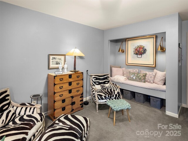 118 Cloverleaf Ln, Asheville, NC 28803 - living area with carpet and baseboards