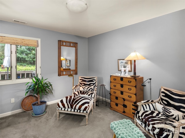 118 Cloverleaf Ln, Asheville, NC 28803 - sitting room with carpet floors and baseboards