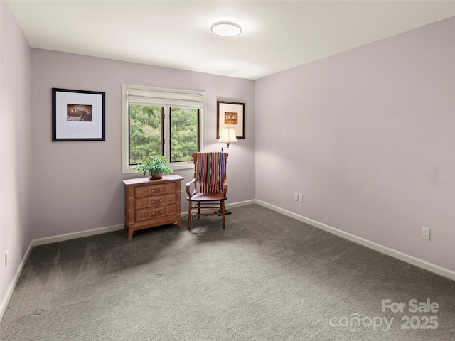 118 Cloverleaf Ln, Asheville, NC 28803 - sitting room featuring carpet and baseboards