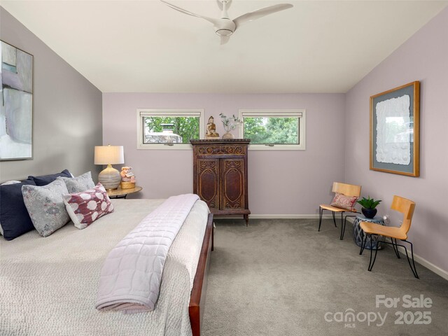118 Cloverleaf Ln, Asheville, NC 28803 - photo 19