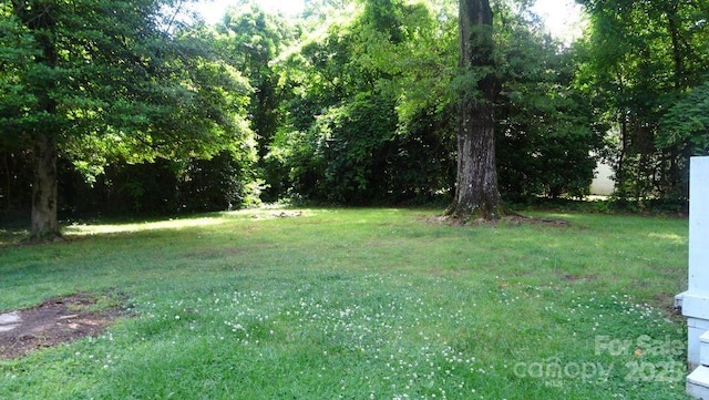 view of green lawn