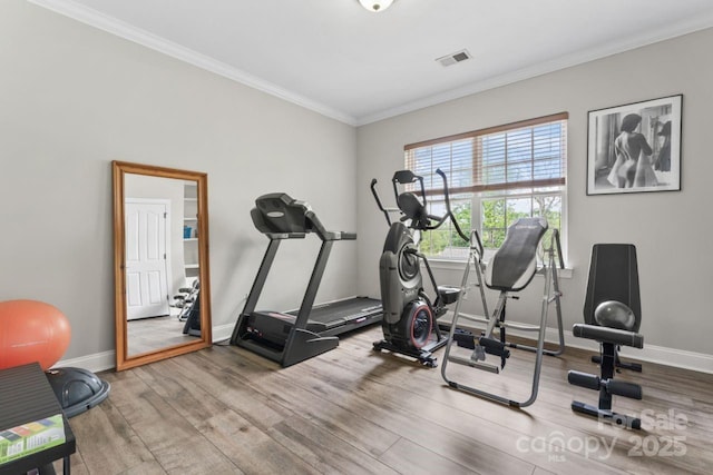 1016 Spanish Moss Rd, Indian Trail, NC 28079 - workout room with wood finished floors, ornamental molding, and baseboards