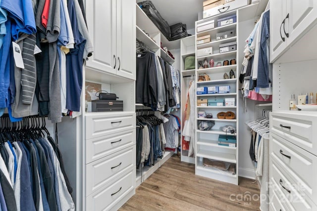 1016 Spanish Moss Rd, Indian Trail, NC 28079 - walk in closet with light wood-style flooring