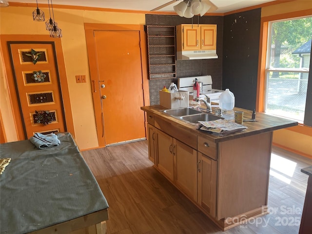 kitchen with under cabinet range hood, white electric range, wood finished floors, dark countertops, and a sink