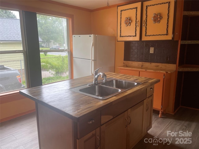 1418 Old Wilkesboro Rd, Salisbury, NC 28144 - kitchen with freestanding refrigerator, a sink, healthy amount of natural light, and light wood-style floors