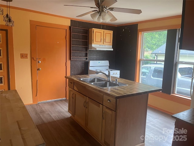 1418 Old Wilkesboro Rd, Salisbury, NC 28144 - kitchen with white range, light wood-style flooring, under cabinet range hood, a sink, and a center island with sink