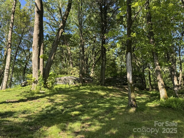 0000 W Garden Trl Lot 68, Hendersonville, NC 28792 - photo 2