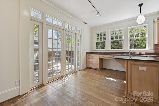 unfurnished office featuring light wood-style floors, ornamental molding, track lighting, and a sink