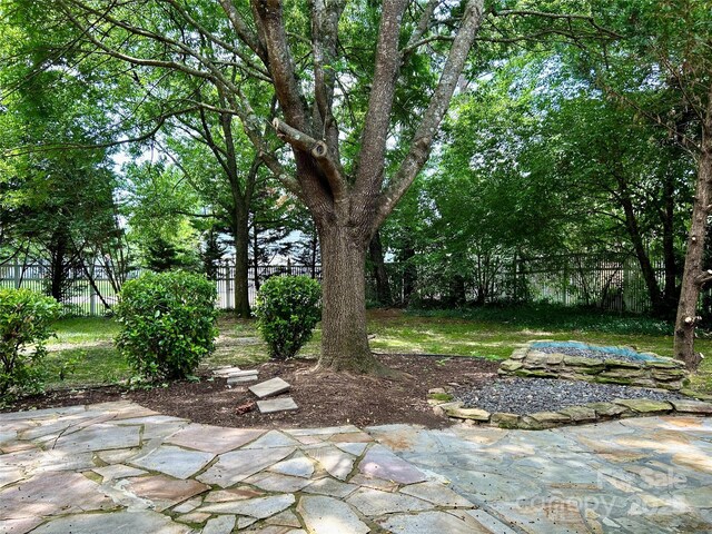 14211 Harlequin Dr, Charlotte, NC 28273 - photo 33