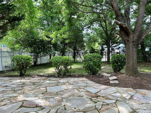 14211 Harlequin Dr, Charlotte, NC 28273 - photo 34