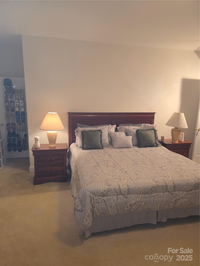 1253 Iverleigh Trl, Charlotte, NC 28270 - view of carpeted bedroom