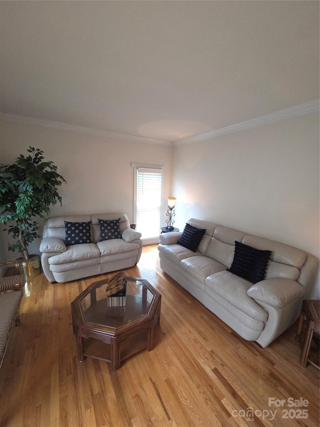 1253 Iverleigh Trl, Charlotte, NC 28270 - living room featuring ornamental molding and wood finished floors