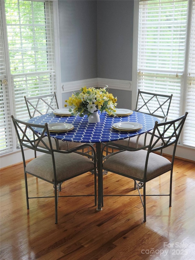 1253 Iverleigh Trl, Charlotte, NC 28270 - dining room featuring light wood-style floors