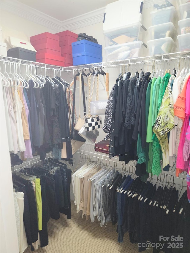 1253 Iverleigh Trl, Charlotte, NC 28270 - walk in closet with carpet floors