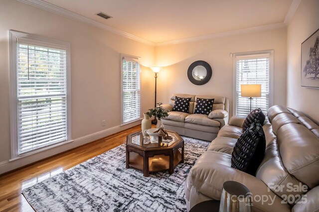 1253 Iverleigh Trl, Charlotte, NC 28270 - photo 33